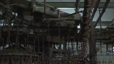 Fabrikada işleme tavuk