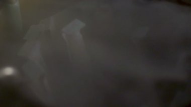 Gıda genetik araştırma