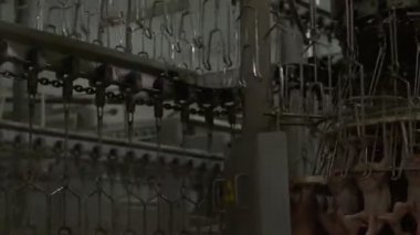 Fabrikada işleme tavuk