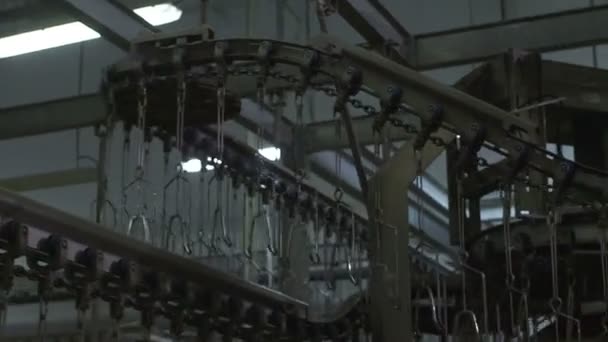 Переработка цыплят на заводе — стоковое видео