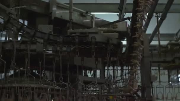 Traitement du poulet à l'usine 