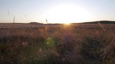 hakaskie ritüel antik taşlar