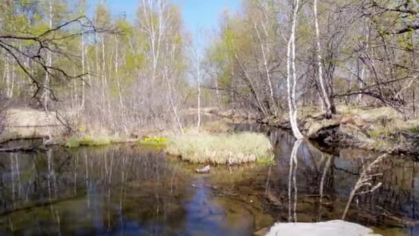 Wooden bridge over the river — Stock Video