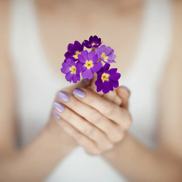 Mani di donna con belle unghie in viola che tengono fiori — Foto Stock