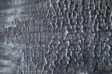 arka plan ağaç yanmış