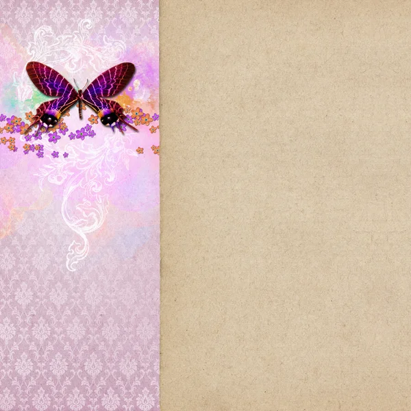 Vintage shabby chic background with butterfly — Stock Photo, Image