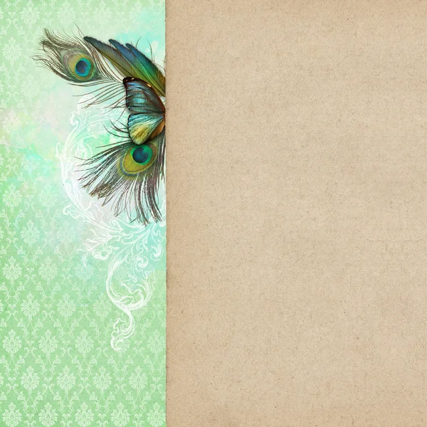 Vintage shabby chic background with butterfly — Stock Photo, Image