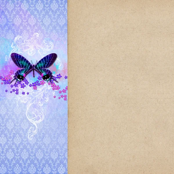 Vintage shabby chic background with butterfly — Stock Photo, Image