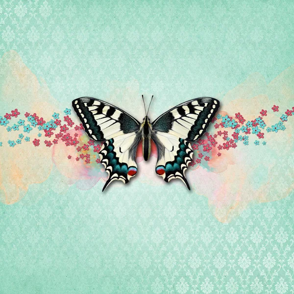Вінтажний шикарний фон з метеликом — стокове фото