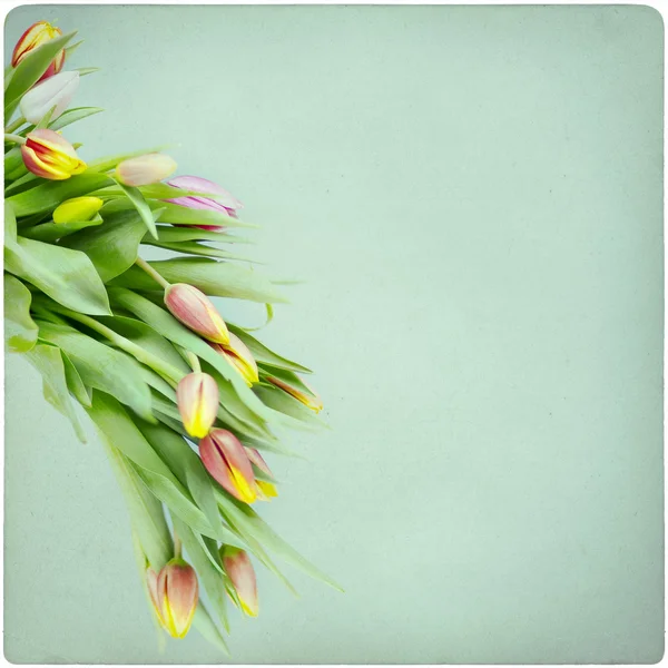 Tulipani sfondo vintage — Foto Stock