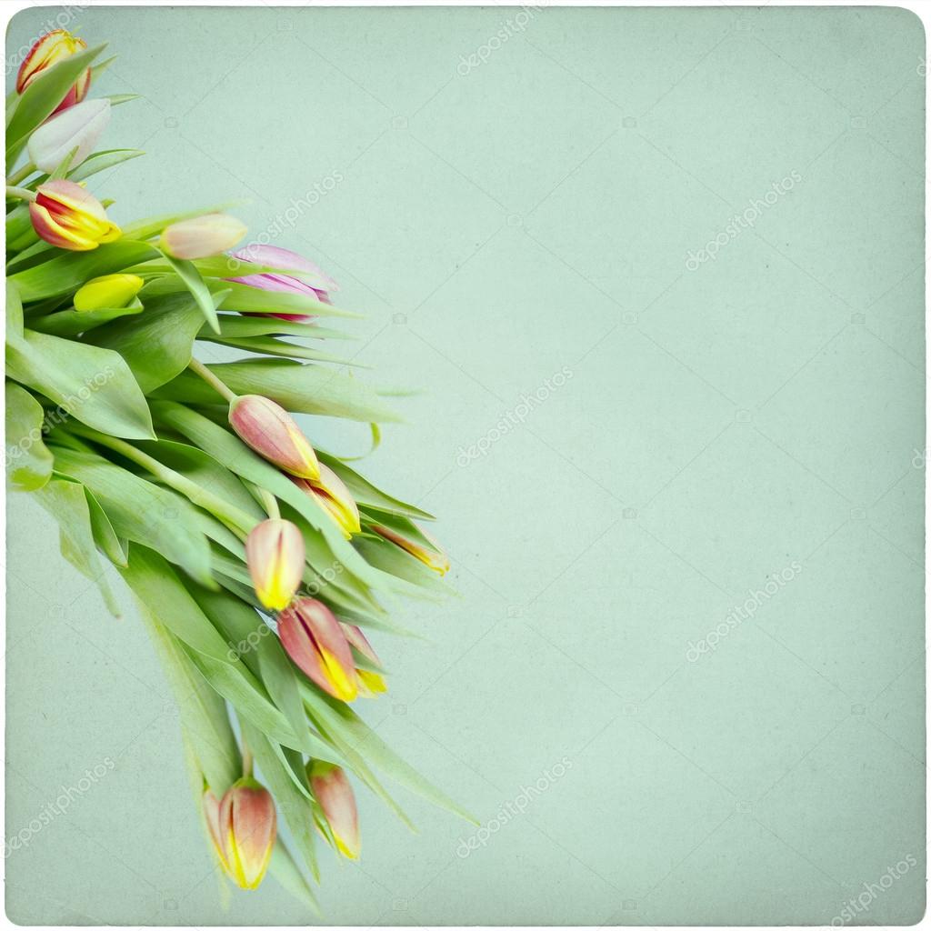 Tulips vintage background Stock Photo by ©piolka 65924047