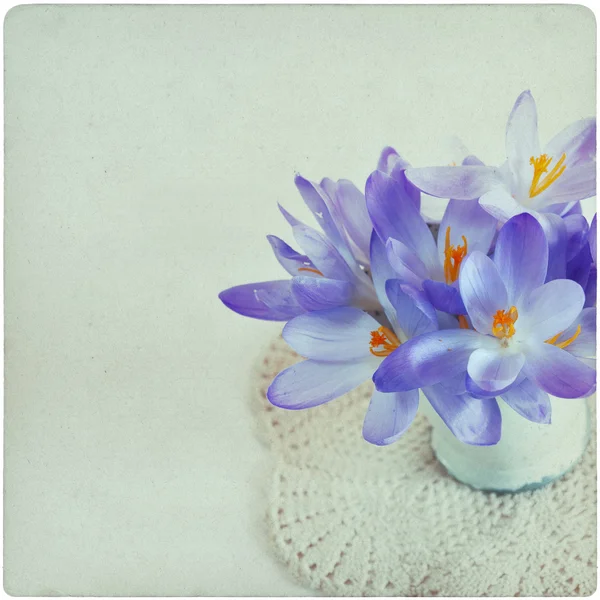 Primavera flores vintage fondo — Foto de Stock