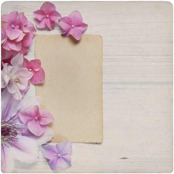 Vintage Flower Background — Stock Photo, Image