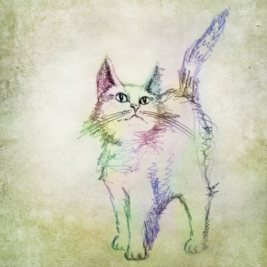 Renkli kedi çizim