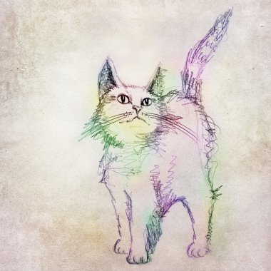 Renkli kedi çizim