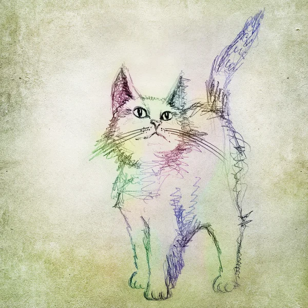Kleurrijke kat tekening — Stockfoto