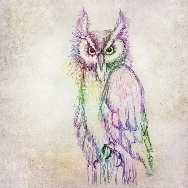 Colorful owl drawing — Stock Photo, Image