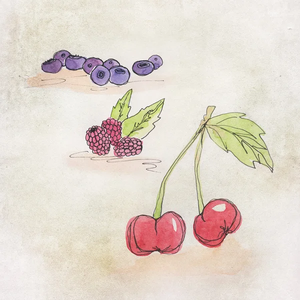 Gyümölcs illusztráció, akvarell — Stock Fotó