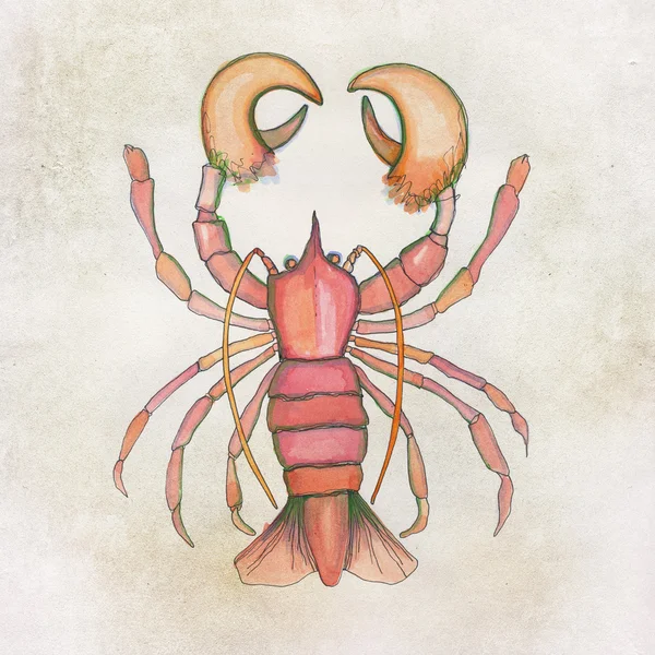 Latar belakang lobster dengan cat tangan — Stok Foto