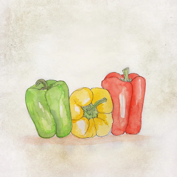 Handpainted πιπεριές με χρώματα aqua — Φωτογραφία Αρχείου