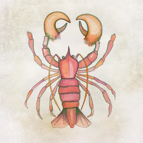 Handpainted lobster background — Stock Image Handpainted lobster background Royalty Free Stock Images