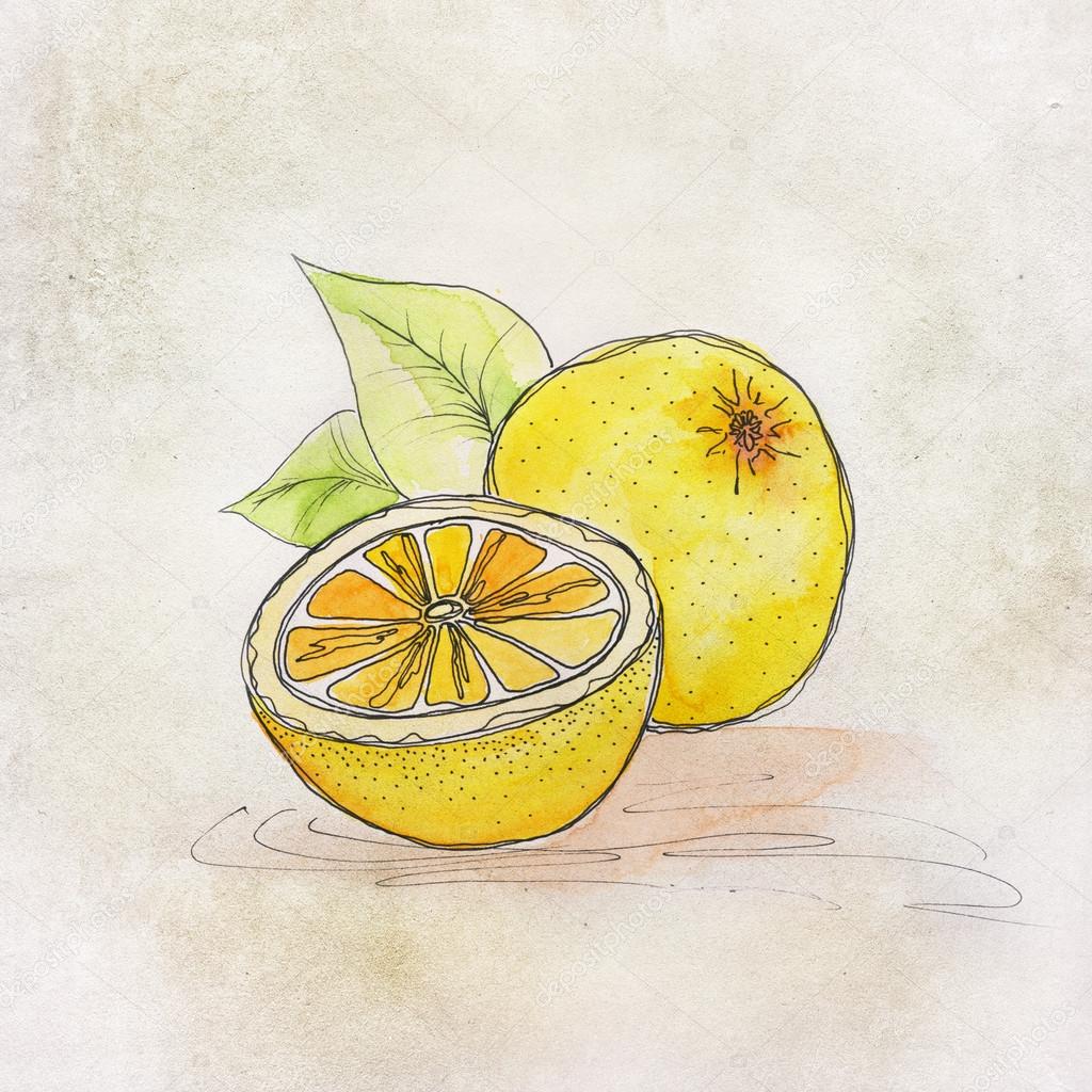 Fruit illustration with watercolor