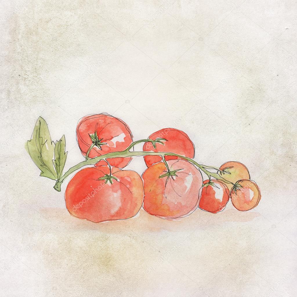 Handpainted tomatoes with aqua colors