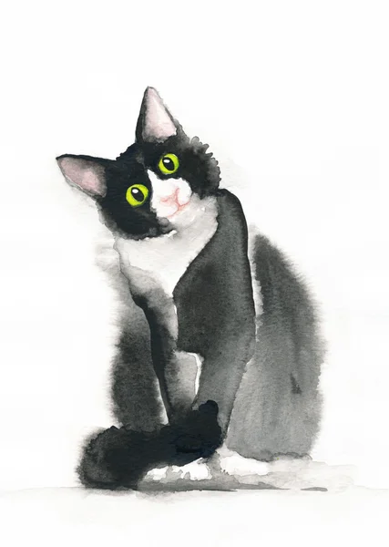 Desenho de doodle de gato, gatinho — Fotografia de Stock