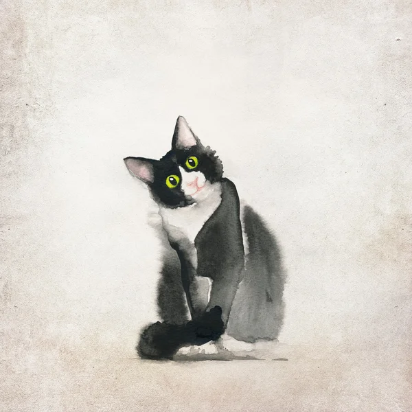 Котята, котенок, чертеж котенка — стоковое фото