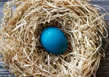 Mavi Paskalya yortusu yumurta