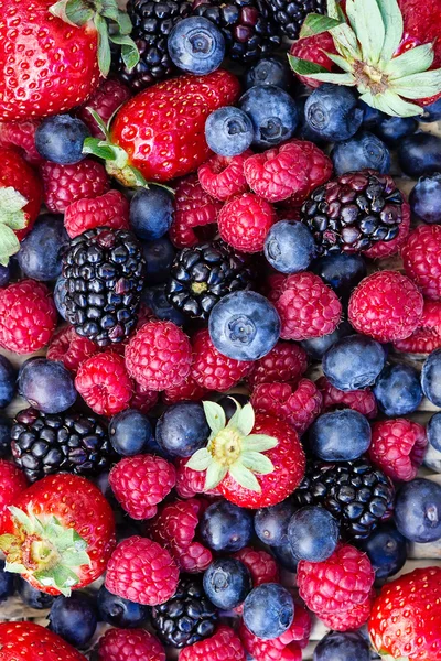 Mixed forest fruits — Stock Photo, Image