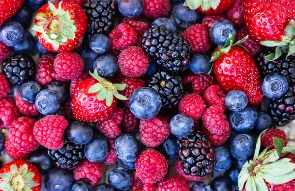 Mixed forest fruits Stock Photo