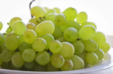 Olgun beyaz üzüm