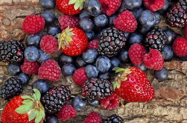 Mixed forest fruits — Stock Photo, Image