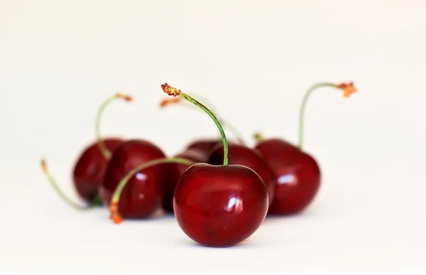 Delicious ripe cherries — Stock Photo, Image