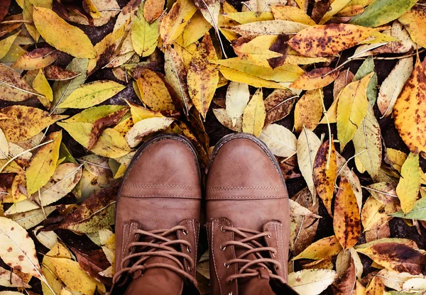 Gevallen bladeren van de herfst — Stockfoto