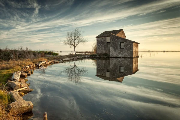 La Albufera doğa rezerv Valencia eyaletinin İspanya