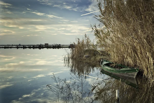 La Albufera φύση αποθεματικό Ισπανία επαρχία της Valencia Royalty Free Φωτογραφίες Αρχείου