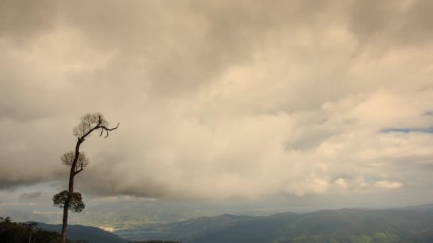 Valle de montaña verde — Vídeo de stock