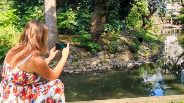 Mulher loira com câmera — Vídeo de Stock