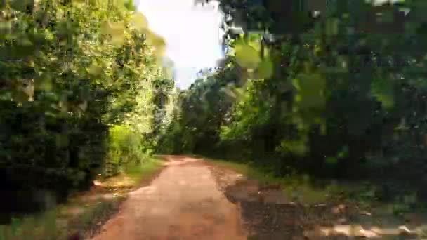 Route souterraine en forêt tropicale — Video