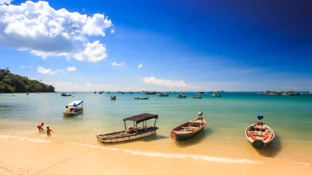 Vietnamese fishing boats — Stock video