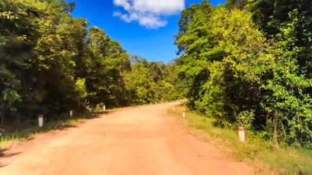 Estrada terrestre na floresta tropical — Vídeo de Stock