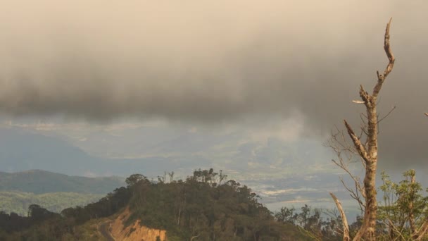 Vale verde da montanha — Vídeo de Stock