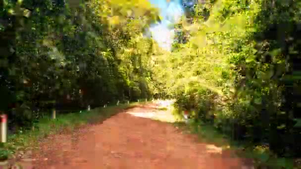 Cavalgando na floresta tropical — Vídeo de Stock