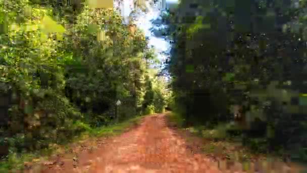 Strada interrata nella foresta tropicale — Video Stock