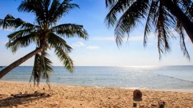 kumlu plaj avuç içi dallarda