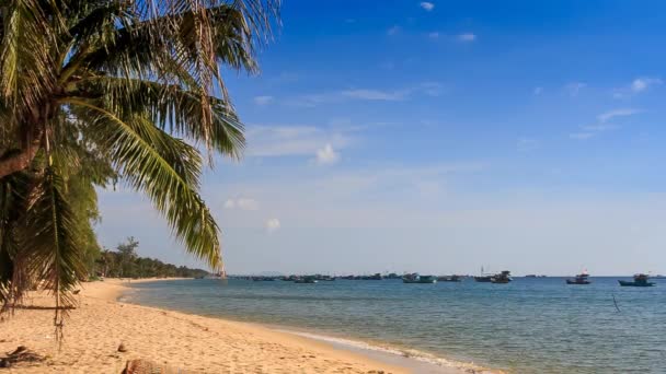 Plage de sable de mer contre bateaux — Video