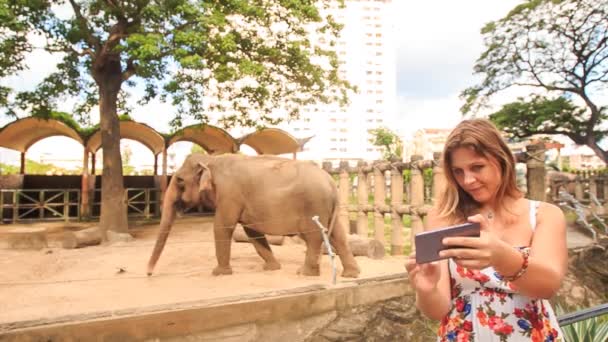 Девушка делает селфи против слона — стоковое видео