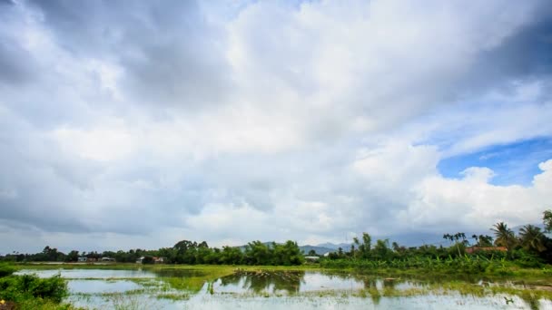 Wolken tot uiting in rustige rivier — Stockvideo